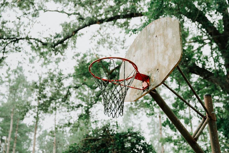 Green Basketball article (800x)